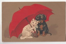 Kleine katze hund gebraucht kaufen  Rötha
