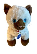 Promise pets ragdoll for sale  Huntington