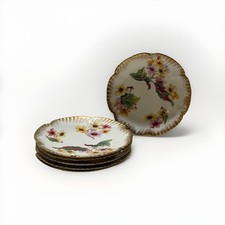Antique hammersley co. for sale  OSWESTRY