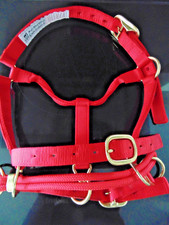Dually training halter for sale  ELLESMERE
