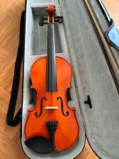 Violino rialto domus usato  Cirie