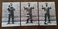 Weiwei motivo caduta usato  Sinopoli