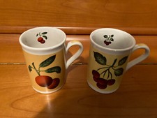 Schöne kaffeebecher früchted gebraucht kaufen  Diekholzen