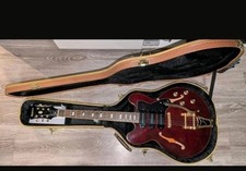 Epiphone riviera p93 gebraucht kaufen  Altena