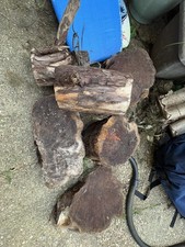 Large yew logs for sale Large yew logs for sale  ALDERSHOT
