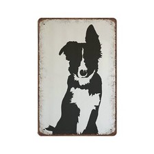 Vintage border collie for sale  Fresh Meadows