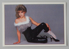 Samantha fox smash gebraucht kaufen  Deutschland
