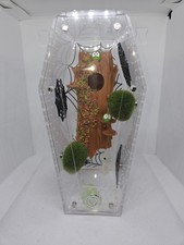 jumping spider for sale jumping spider for sale  ABERDARE