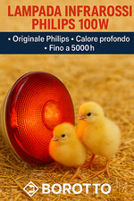 Lampada philips infrarossi usato  Trevenzuolo