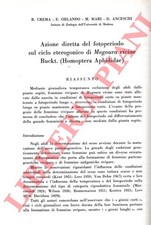 Crema orlando mari usato  Italia