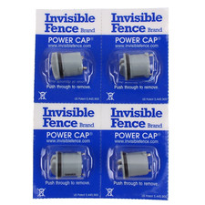 Invisible fence dog for sale  Garden City