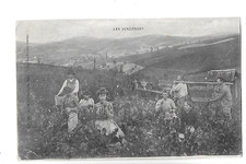 Cpa carte postale d'occasion  Dardilly