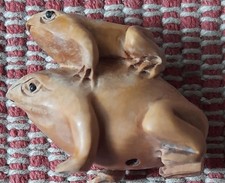 Small frog offspring for sale  LONDON