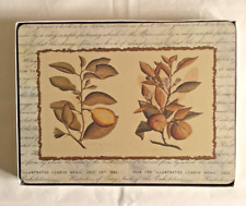 Pimpernel antique fruits for sale Pimpernel antique fruits for sale  ANDOVER