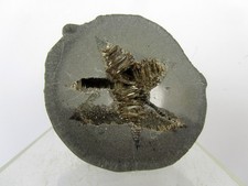 F82 baryt septarie gebraucht kaufen  Dinslaken