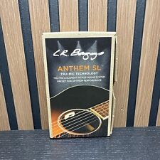 Baggs anthem chitarra usato  Spedire a Italy