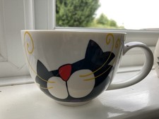 giant cat for sale  NOTTINGHAM