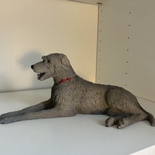 irish wolfhound dog for sale irish wolfhound dog for sale BIRMINGHAM