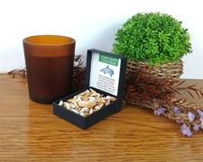 Genuine shark teeth for sale  NEWCASTLE