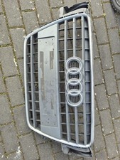 Riginal kühlergrill grill gebraucht kaufen  Wallerfangen