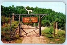 Usado, Cartão postal c1960 Rainelle West Virginia WV entrada portão Ponderosa Game Preserve comprar usado  Enviando para Brazil