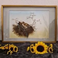 Tableau animalier veritable d'occasion  Mazé
