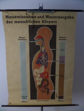 Rolltafel wassereinnahme wasse gebraucht kaufen  Deidesheim