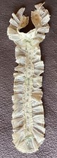 Superbe col jabot d'occasion  Puy-l'Évêque