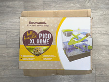 Rosewood pico hamster for sale  CRYMYCH