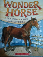 Wonder horse true for sale  UK