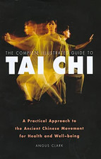Tai chi practical for sale  UK