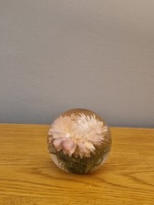 hafod grange paperweights for sale hafod grange paperweights for sale  ABERGAVENNY