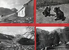 Parco nazionale abruzzo usato  Teramo