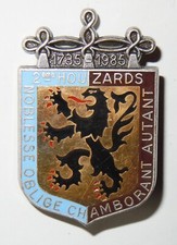 Insigne regiment hussards d'occasion  Senozan
