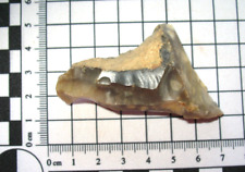 Mesolithic stone age for sale Mesolithic stone age for sale  WAKEFIELD