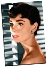 Audrey hepburn colour for sale  LONDON