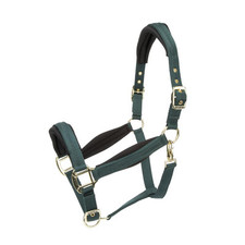 Shires arma padded for sale  BROMYARD