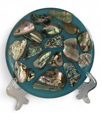 Vintage abalone shells for sale  Urbana