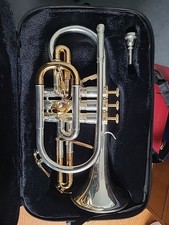 Trompette 900gp cornet d'occasion  Masnières