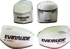 Adesivi evinrude etec usato  Palermo