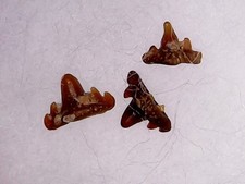 Shark tooth requin d'occasion  Valence