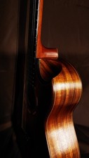 Washburn wcgm55k mini d'occasion  Expédié en Belgium