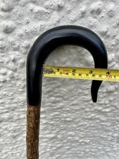 Buffalo horn shepherds for sale  NEWTON STEWART