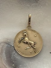 Goldene sternzeichen steinbock gebraucht kaufen  Lensahn
