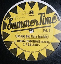 Various hip dub gebraucht kaufen  Rheinböllen
