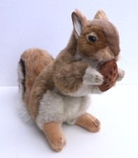 Hansa red squirrel for sale  HIGH PEAK