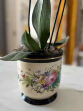 French porcelain jardiniere d'occasion  Expédié en Belgium