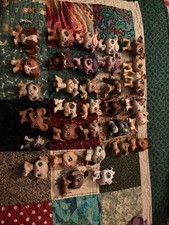 Littlest pet shop for sale  San Antonio