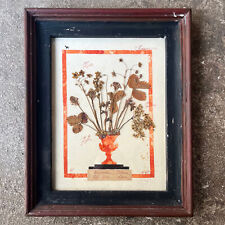 Framed herbarium with d'occasion  Expédié en Belgium