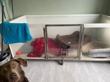 Large whelping box for sale Large whelping box for sale  BRIDGEND